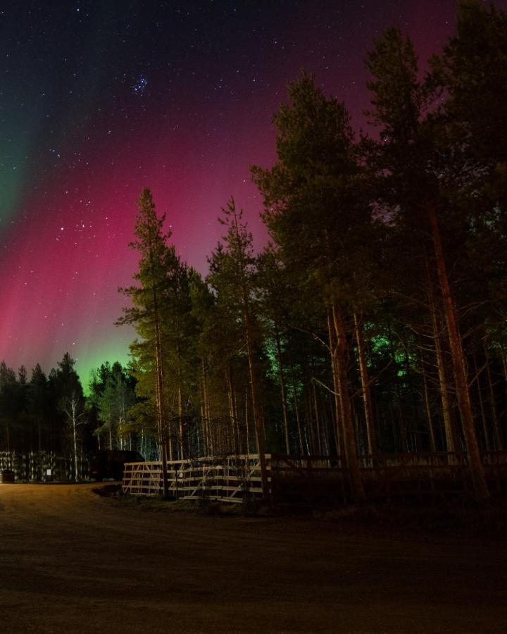 Arctic Snowhotel & Glass Igloos Sinettä Esterno foto